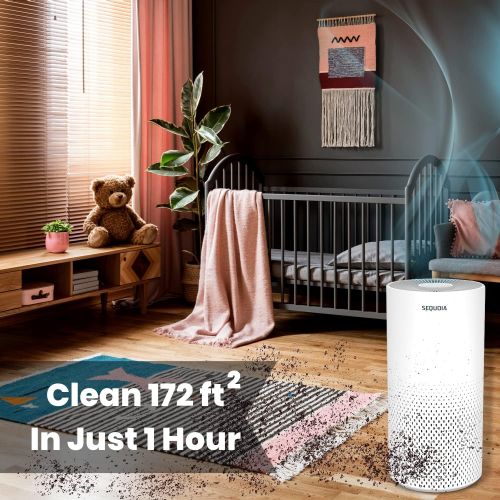  Vive Sequoia Air Purifier - for Home, Bedroom, Larger Room, H11 True HEPA Filter, 3 Stage Filtration, Eliminates Odors, Smoke, Dust, Pollen, Lint