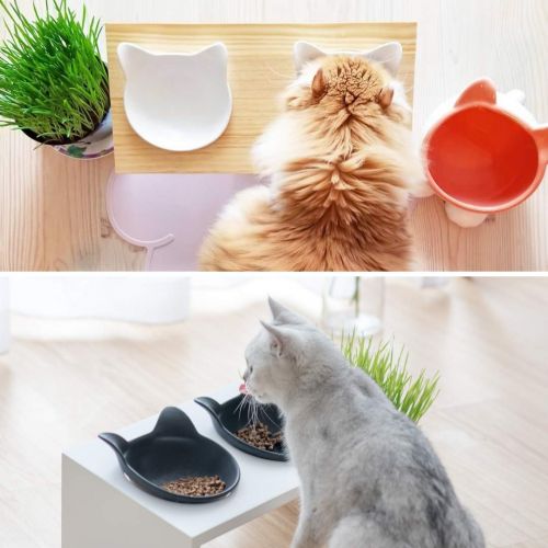  ViviPet Cat Dining Table - 15° Tilted Platform Pet Feeder_ Solid Pine Stand with Ceramic Bowls  Elevated Cat Feeder Raised Cat Bowl Mykonos Collection