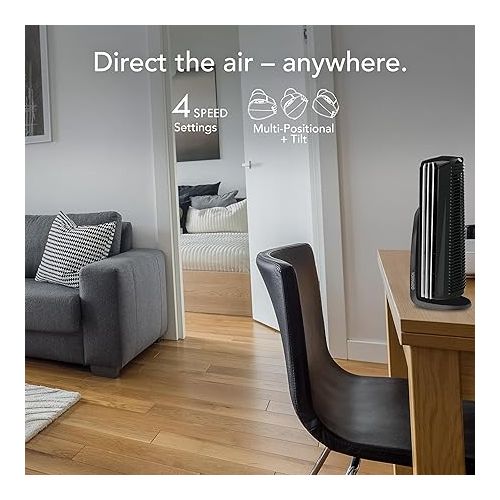 보네이도 Vornado Duo Small Room Tower Air Circulator Fan (Renewed)