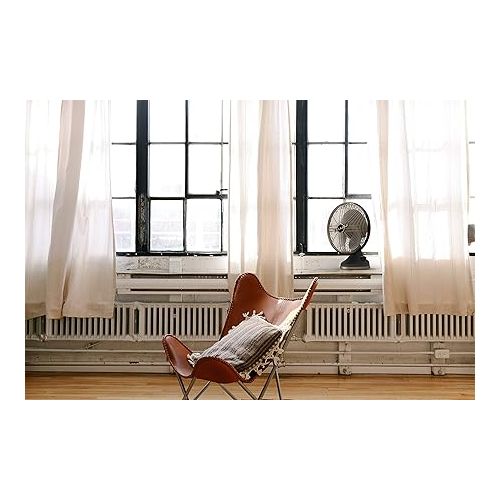 보네이도 Vornado Silver Swan Alchemy Oscillating Vintage Fan, Gunmetal, Medium and Vornado VFAN Mini Classic Personal Vintage Air Circulator Fan, Green