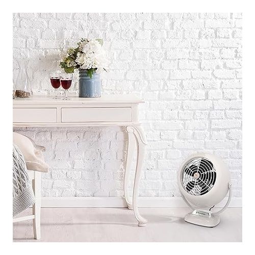 보네이도 Vornado VFAN Vintage Air Circulator Fan, Vintage White, Small