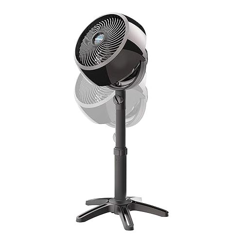 보네이도 Vornado 7803 Large Pedestal Whole Room Air Circulator Fan with Adjustable Height, 3 Speed Settings, Removable Grill for Cleaning, Black & 630 Mid-Size Whole Room Air Circulator Fan