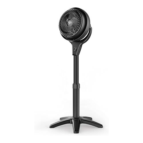 보네이도 Vornado 602 Whole Room Air Circulator Pedestal Fan Bundle with Pivot Personal Air Circulator Fan