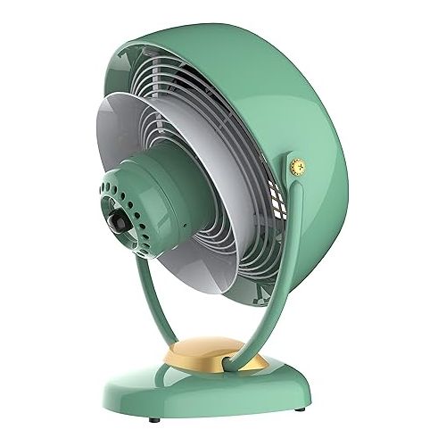 보네이도 Vornado VFAN Sr. Pedestal (Green) and Vintage Air Circulator Fan Bundle