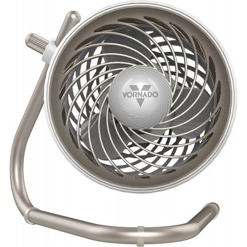 보네이도 보네이도 써큘레이터Vornado Pivot Personal Air Circulator Fan, Champagne