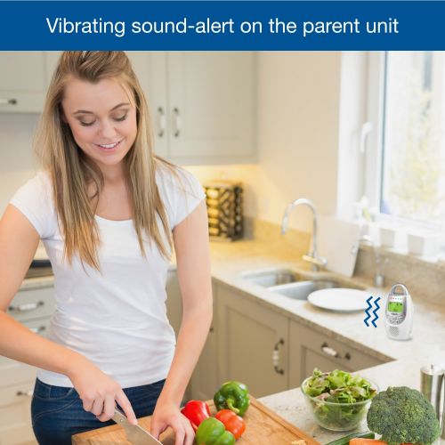 브이텍 VTech DM221-2 Safe & Sound  DECT 6.0 Two Parent Unit Digital Audio Baby Monitor