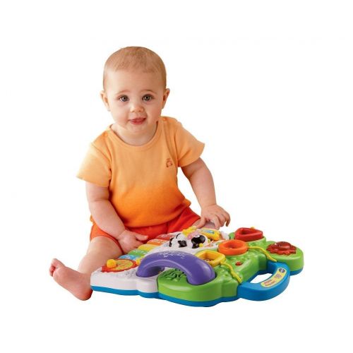 브이텍 VTech Sit-to-Stand Learning Walker (Frustration Free Packaging)