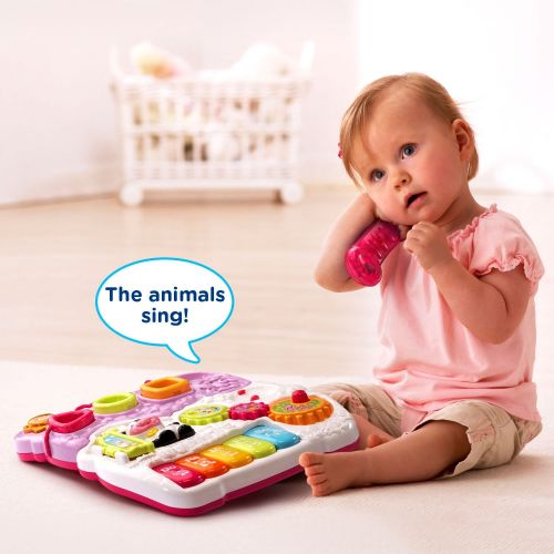 브이텍 VTech Sit-to-Stand Learning Walker, Pink