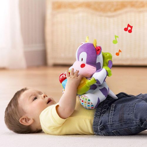 브이텍 [아마존베스트]VTech Baby Lil Critters Moosical Beads Amazon Exclusive, Purple