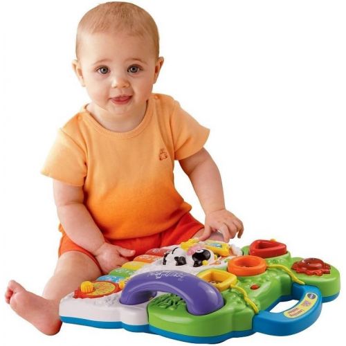 브이텍 [아마존베스트]VTech Sit-to-Stand Learning Walker (Frustration Free Packaging)