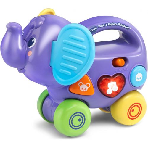 브이텍 VTech Push & Explore Elephant, Purple