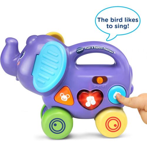 브이텍 VTech Push & Explore Elephant, Purple