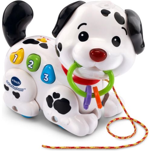 브이텍 VTech Pull and Sing Puppy