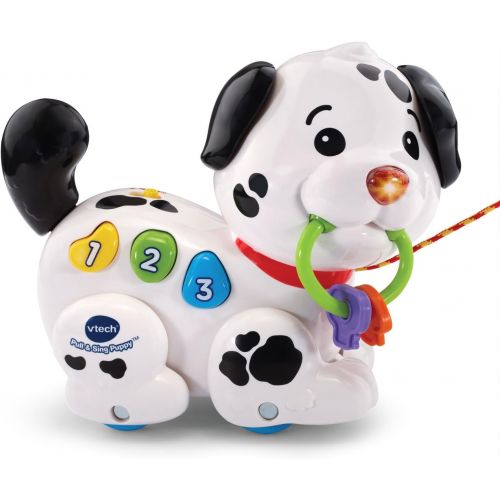 브이텍 VTech Pull and Sing Puppy