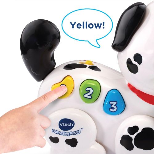 브이텍 VTech Pull and Sing Puppy