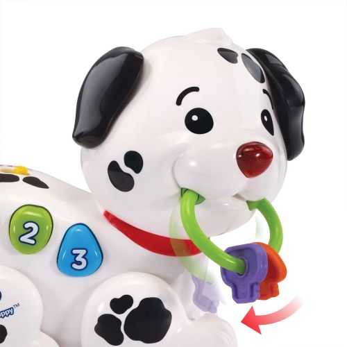 브이텍 VTech Pull and Sing Puppy