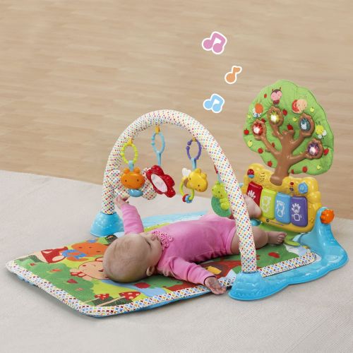 브이텍 VTech Baby Lil Critters Musical Glow Gym