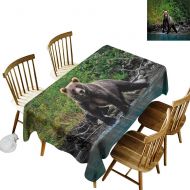 W Machine Sky Dustproof Rectangular Tablecloth Cabin Decor Grizzly Brown Bear in Lake Alaska Untouched Forest Jungle Wildlife Image W60 xL102 for Family Dinners,Parties,Everyday Us