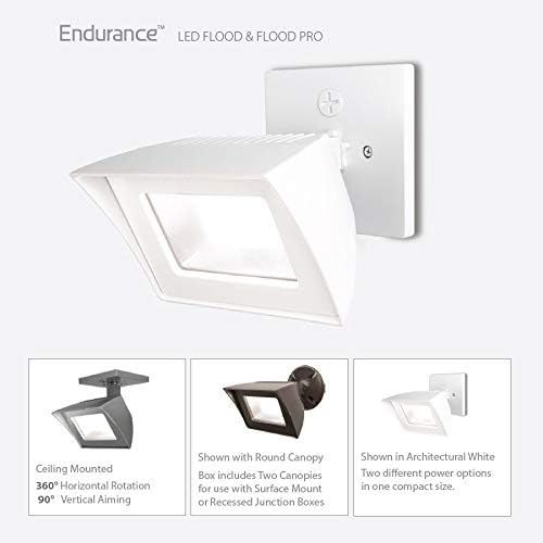  WAC Lighting WP-LED335-30-aWT Contemporary Endurance Flood Light OutdoorIndoor Wall Pack