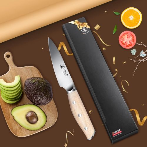  [아마존베스트]WALLOP Paring Knife - Fruit Peeling Knife 3.5 inch - Razor Sharp German 1.4116 HC Stainless Steel Fruit Vegetable Knife Kitchen Knife - Full Tang Natural Pakkawood Handle with Gift