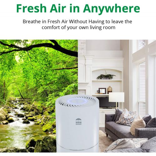  WBM Smart HEPA Filter Air Purifier for Home Allergies and Pets Hair Smokers in Bedroom, 25db Filtration System Cleaner Odor Eliminators, Remove 99.97% Smoke Dust Mold Pollen, White