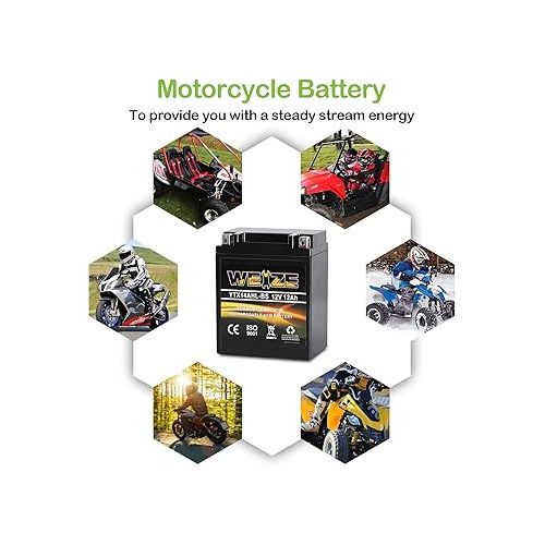  Weize YTX14AHL-BS High Performance - Rechargeable - Sealed Motorcycle Battery Compatible With Polaris Scrambler, Sportsman 90, Honda Scooters NQ50 Spree,Kawasaki 110 KLX110 Blue