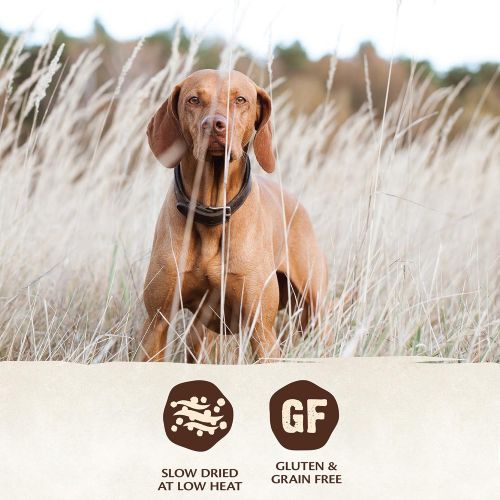  Wellness Core Air Dried Grain Free Natural Dry Dog Food, 2-Pound Bag