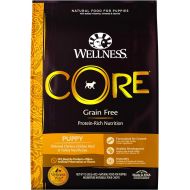 Wellness Core Natural Grain Free Dry Dog Food Puppy