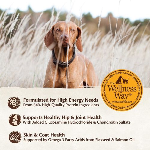  WELLNESS CORE Wellness Core Natural Grain Free Dry Dog Food Small Breed