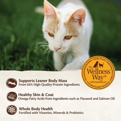  WELLNESS CORE Wellness Core Natural Grain Free Wet Canned Cat Food Turkey & Duck