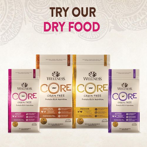  WELLNESS CORE Wellness Core Natural Grain Free Wet Canned Cat Food Turkey & Duck