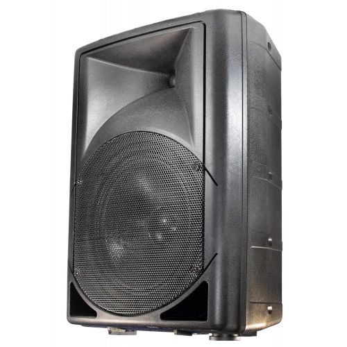  WELTRON Weltron OutdoorIndoor Weatherproof 70V Speaker, Set of 1, Black (WS-PRO100)