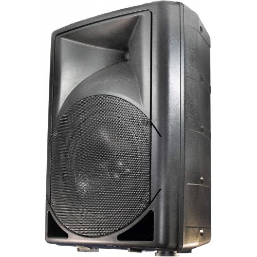  WELTRON Weltron - IndoorOutdoor 70V Speaker, Set of 1, BLACK (WS-PRO200)