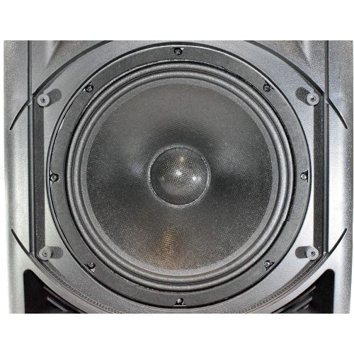  WELTRON Weltron - IndoorOutdoor 70V Speaker, Set of 1, BLACK (WS-PRO200)