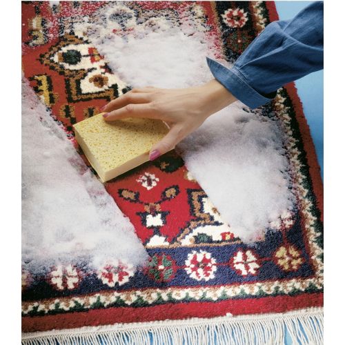  [아마존베스트]Wenko 4888010500 Special carpet cleaning agent 500 ml,carpets and textiles with fresh fragrance, capacity 0.5 L, Chemistry, 10.2 x 9 x 10.2 cm