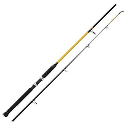  [아마존베스트]WFT Fishing Rod - Never Crack Senso Pil