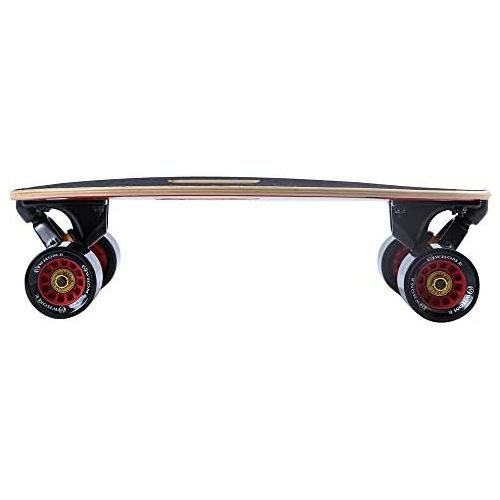  WHOME Pro Portable Skateboard for Adult Youth Kid and Beginner - 17 Mini Longboard Cruiser Skateboard Complete 7 Layer Alpine Hard Rock Maple Deck T-Tool Included