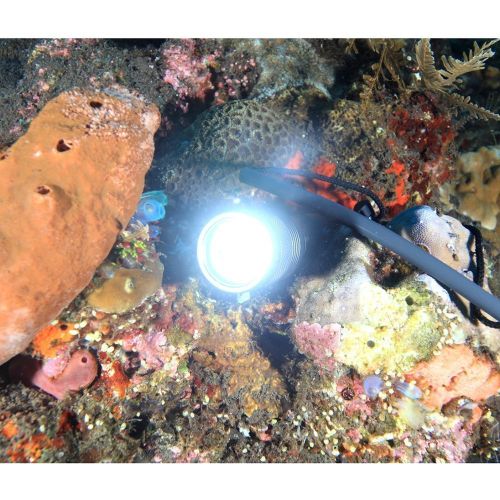  WINDFIRE Underwater Dive Lighting Lamp Torch 1800lm Cree Xml-T6 L2 LED Flashlight 150m Waterproof Scuba Diving Submarine Handheld Torch with Lanyard (Without 3 x AA Battery)- Black