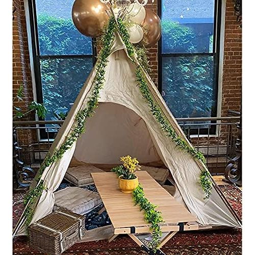  WINTENT Waterproof Cotton Canvas Teepee Tent with Stove Hole for 2-3 Persons