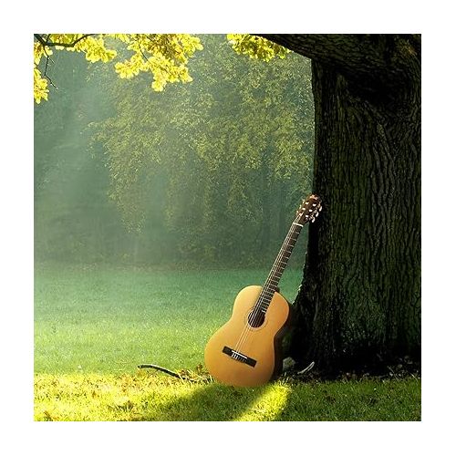  WINZZ Classical Nylon String Bundle Kit for Adult Teen Youth Guitar with Free Online Lessons, Bag, Tuner, Foot 6, Right, Natural, 39 Inches Full Size (ACM-H10-39-V)