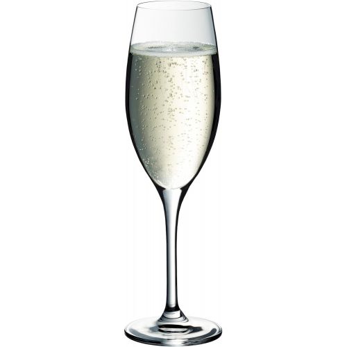 더블유엠에프 WMF Easy Plus 910259990 Champagne Glass Set