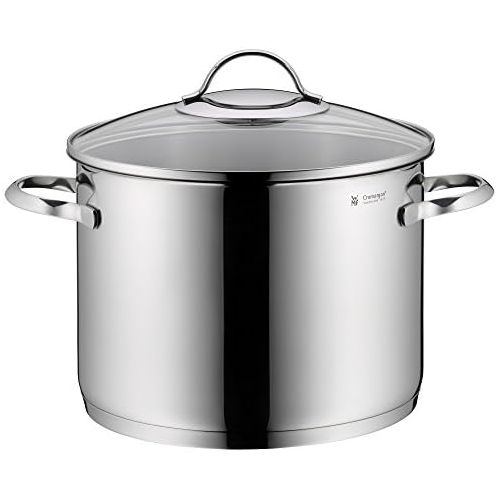 더블유엠에프 WMF Provence Plus Vegetable Pot 24 cm Glass Lid Large 8.8 L Cromargan Polished Stainless Steel Pot Induction Uncoated Oven-Safe