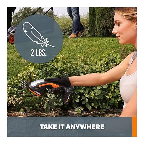  Worx WG801.9 20V Power Share 4