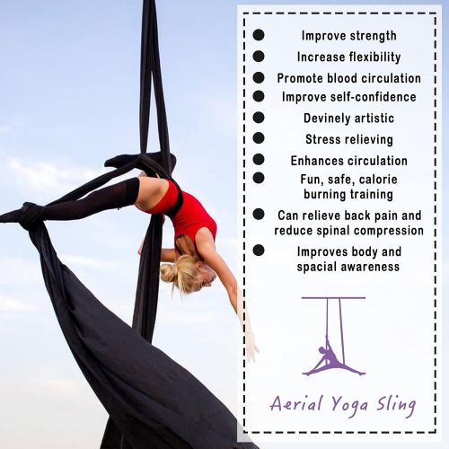  [아마존베스트]WWahuayuan 10M Premium Aerial Silks Equipment Yoga Pilates Swing Aerial Yoga Antigravity Hammock Trapeze for Acrobatic Dance,Air Yoga, Aerial Yoga Hammock