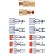 WYNNsky Air Coupler and Plug Kit, Quick Connect Air Fittings, 12 Piece 1/4