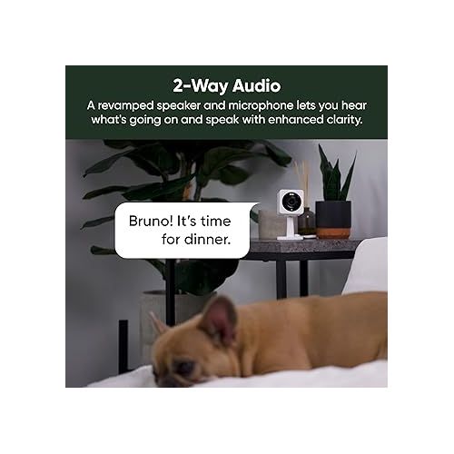  WYZE Cam OG 1080p HD Wi-Fi Security Camera - Indoor/Outdoor, Color Night Vision, Spotlight, 2-Way Audio, Cloud & Local Storage- Ideal for Home Security, Baby, Pet Monitoring Alexa Google Assistant