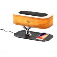 Wabaodan Bedside Lamp with Bluetooth Speaker Wireless Charger Stepless Dimming (UK)