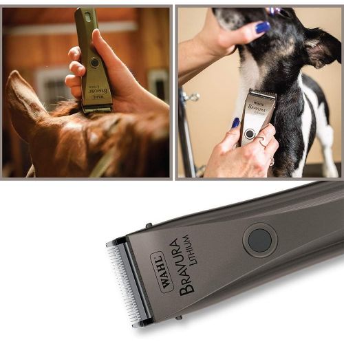  [무료배송] 왈 바리깡 프로페셔널 무선 클리퍼 Wahl Professional Animal Bravura Pet, Dog, Cat, and Horse Corded/Cordless Clipper Kit