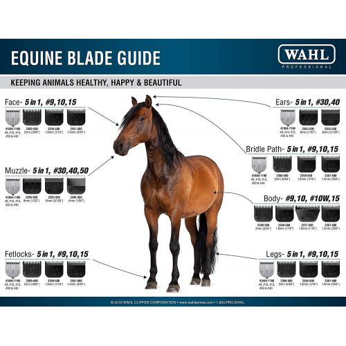  Wahl Professional Animal KM2 Equine Clipper Kit #9757-700