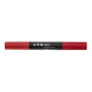 Walgreens CYO Lipstick & Liner Two Clever By Half,Big Idea